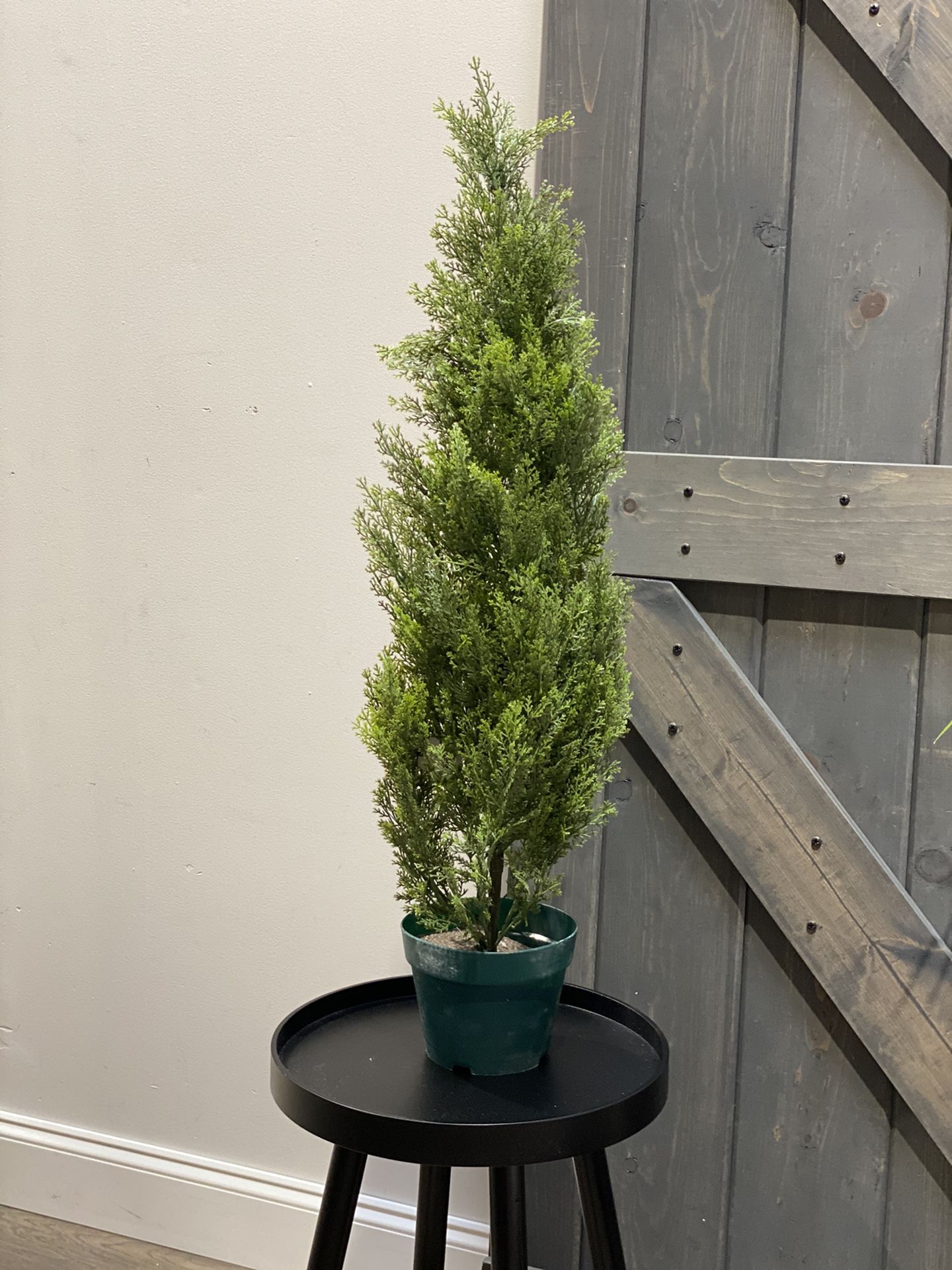 Evgenia 36” artificial cedar topiary in pot. Color: dark green. Base material: plastic. MSRP: $76. Our price: $48 + Sales tax