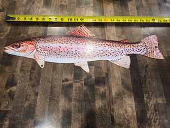 Rainbow Trout Metal Sign