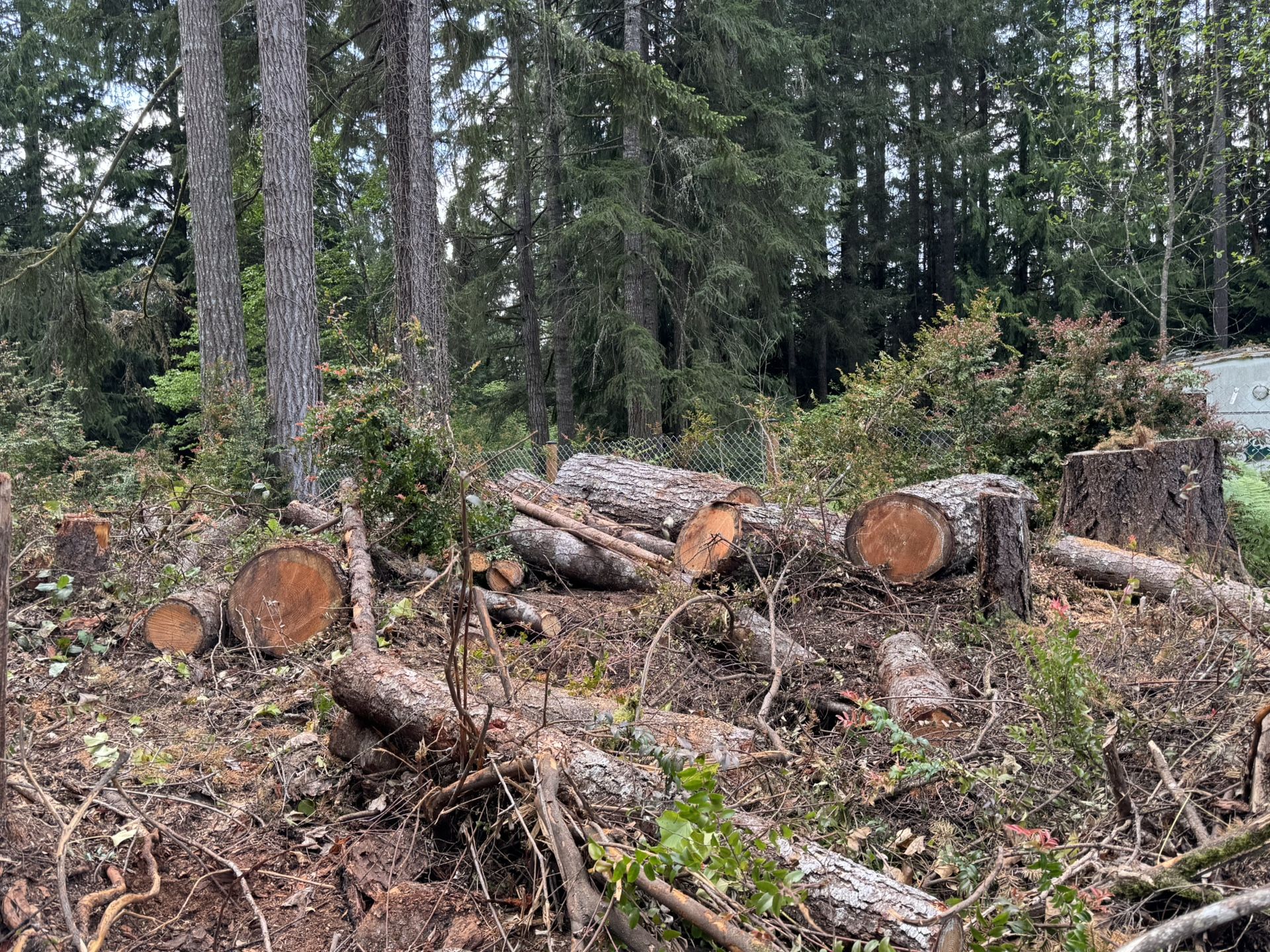 Wood for sale