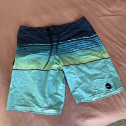 O’Neill Men’s Board Shorts