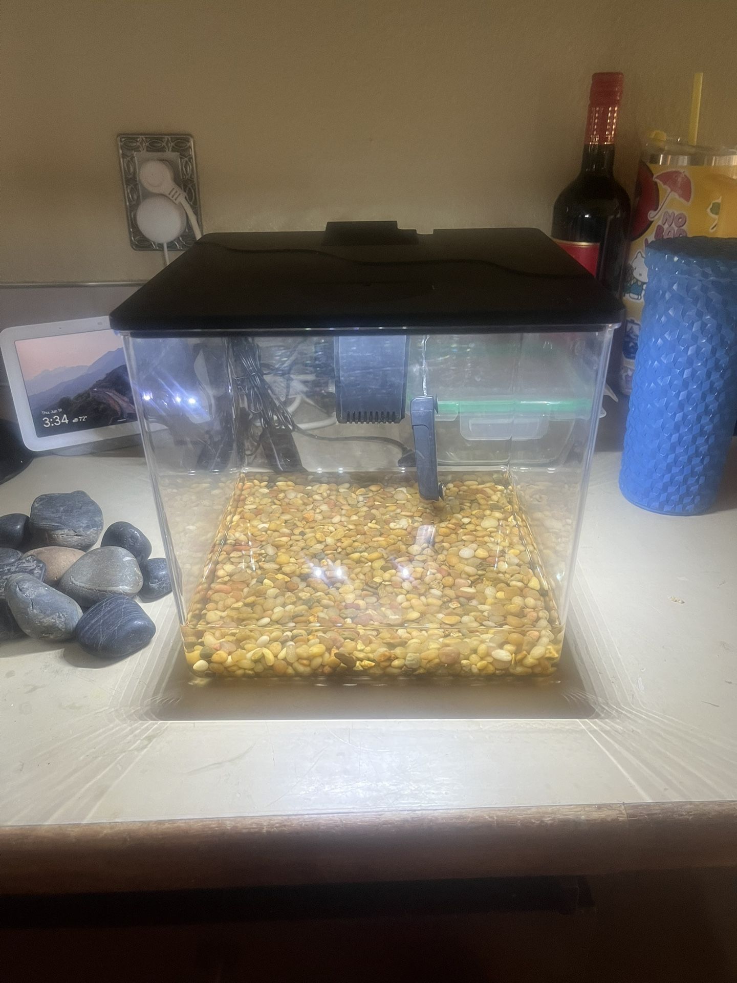 2 Gallon Betta Fish Tank