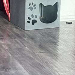 Cat Box