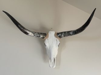 Genuine Cow Steer Longhorn Skull 44” Wide Black Tip Horns Western Wall Decor