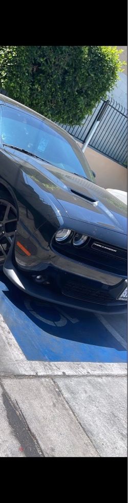 Challenger hood & front bumper