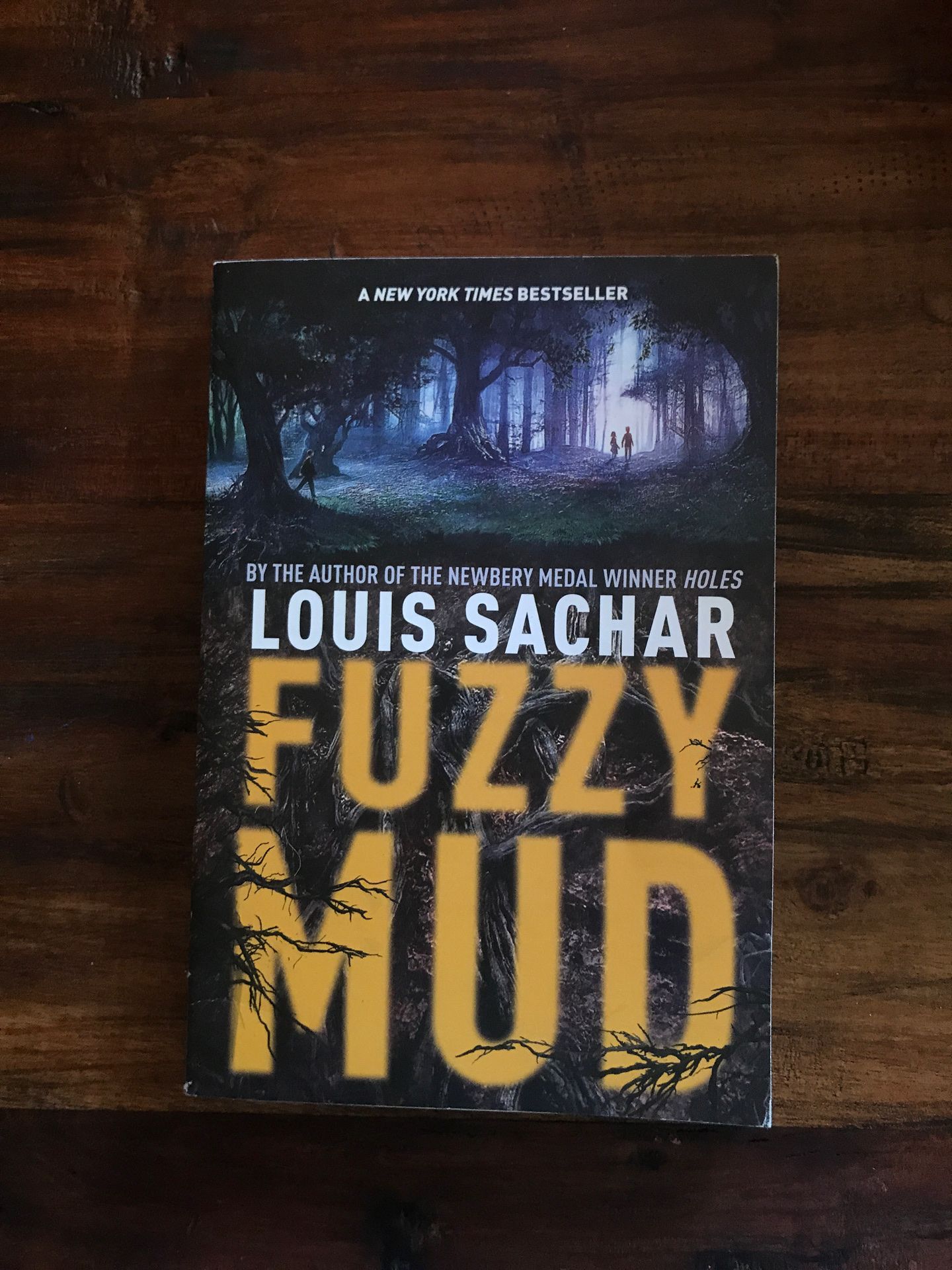 Fuzzy Mud