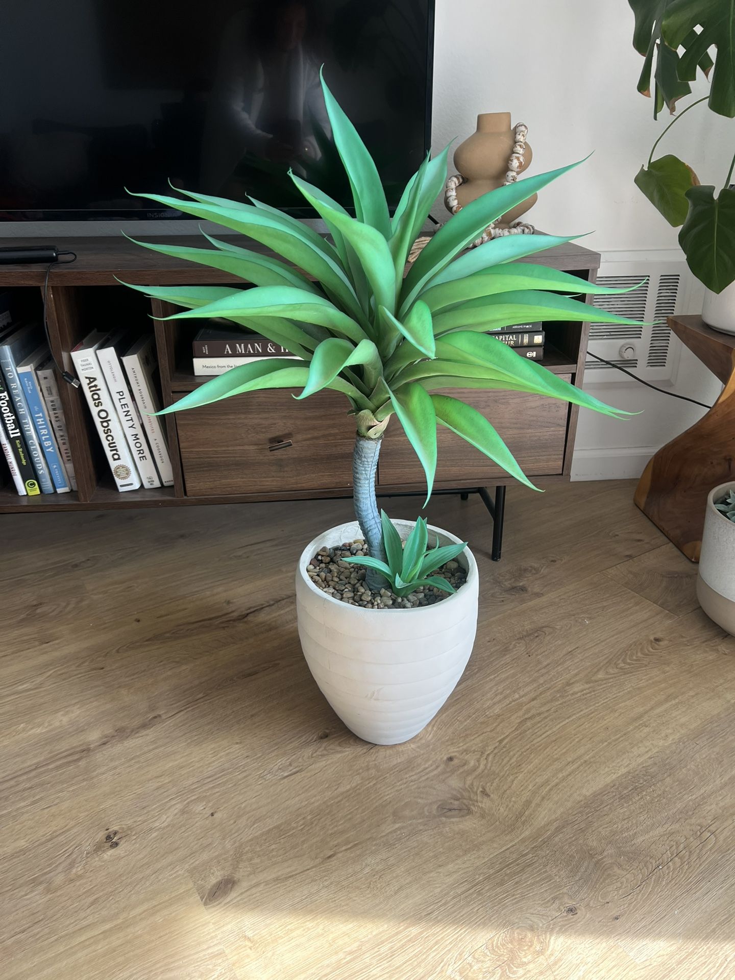 Fake Plant 
