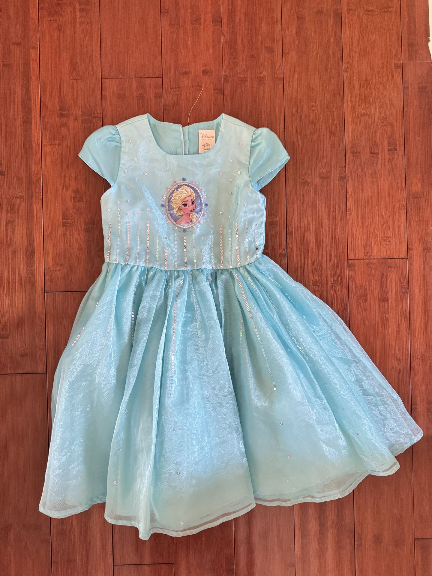Frozen costume