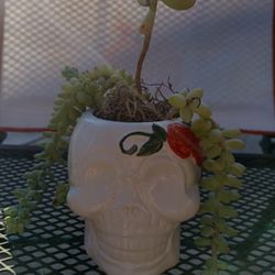 Dia De Los Muertos Mugs