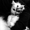 coolcat48