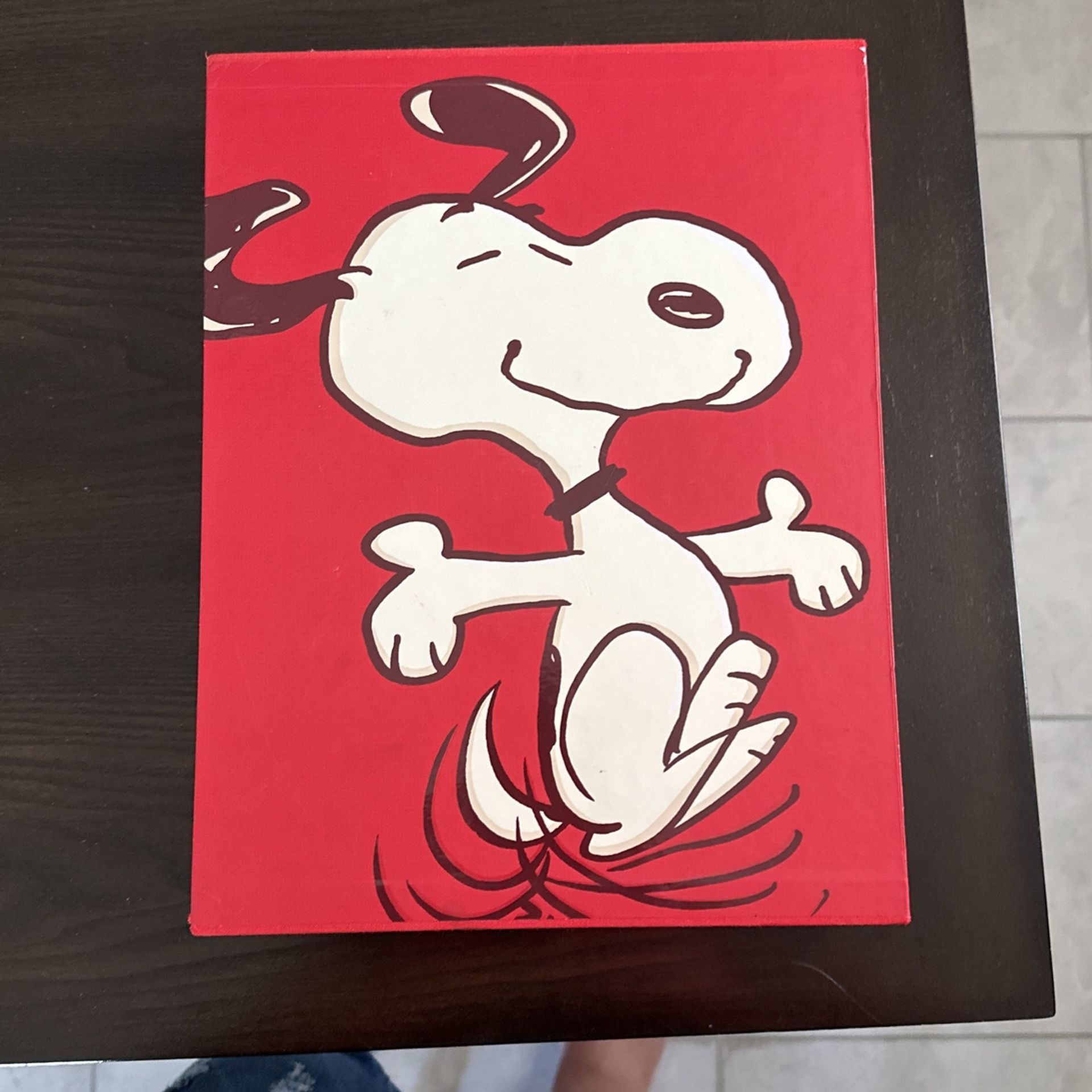 Celebrating Snoopy Book