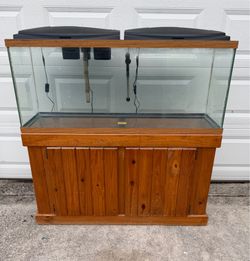 Fish Tank