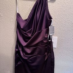 David’s Bridal Plum Dress
