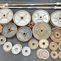 Various Olympic Weights for Sale