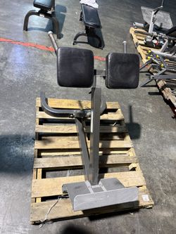 Hoist Back Hyperextension