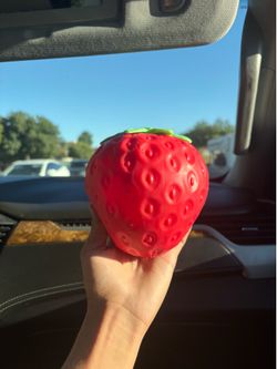 Huge strawberry and butter squishy