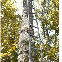 Tree Stand Climbing Ladder