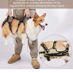 Coodeo Dog Lift Harness, Full Body Support & Recovery Sling, Pet Rear Leg Support Rehabilitation Lifts Vest, Dog Carrier for Senior Dogs with Joint In