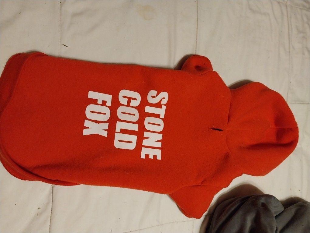 Dog Hoodie