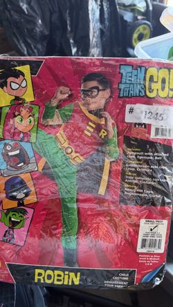 Robin Costume