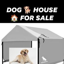 PUPPY 🐶 HOUSE 🏡 FOR SALE