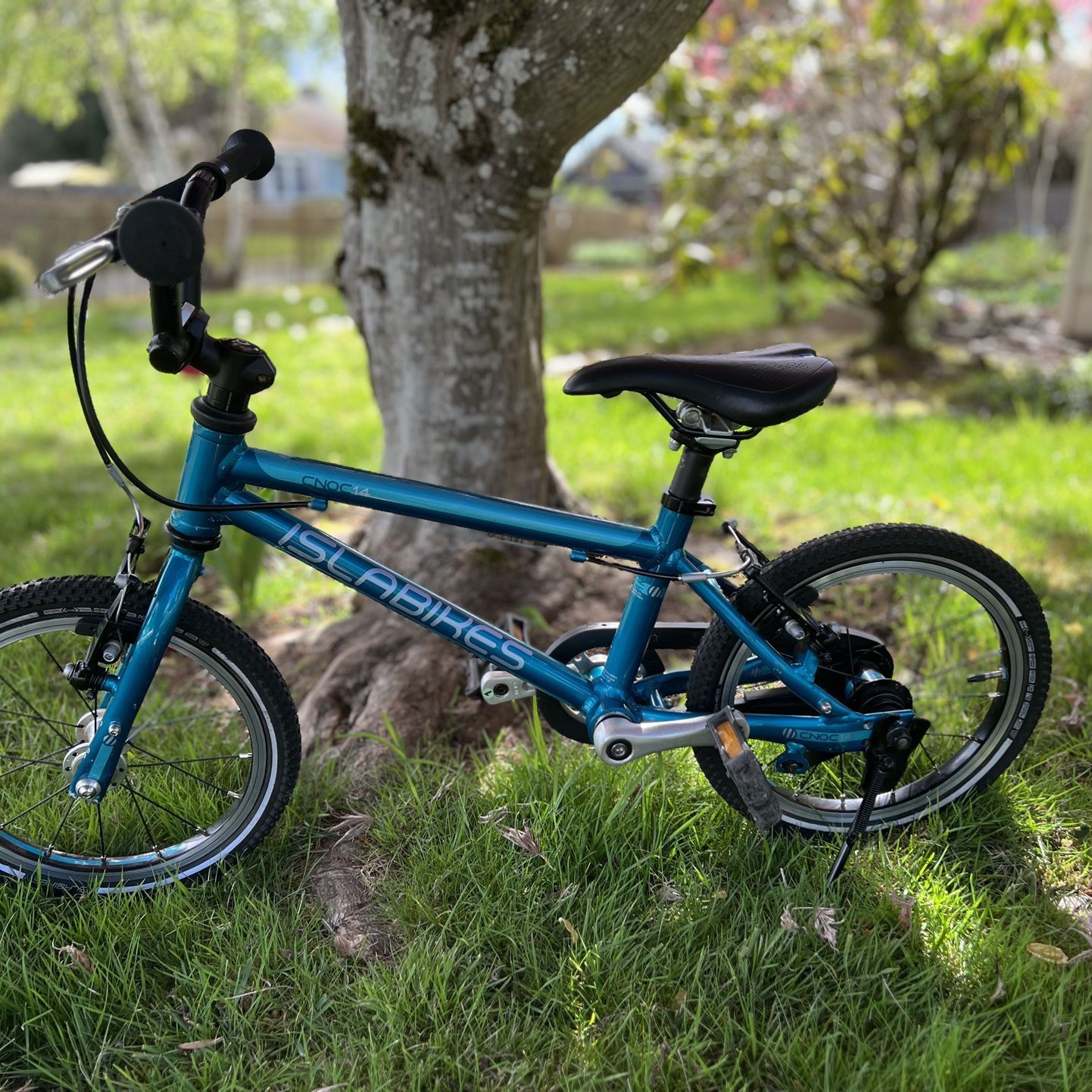 Isla Bikes CNOC 14 Kids’ bike (14” coaster and V hand brakes) - Teal