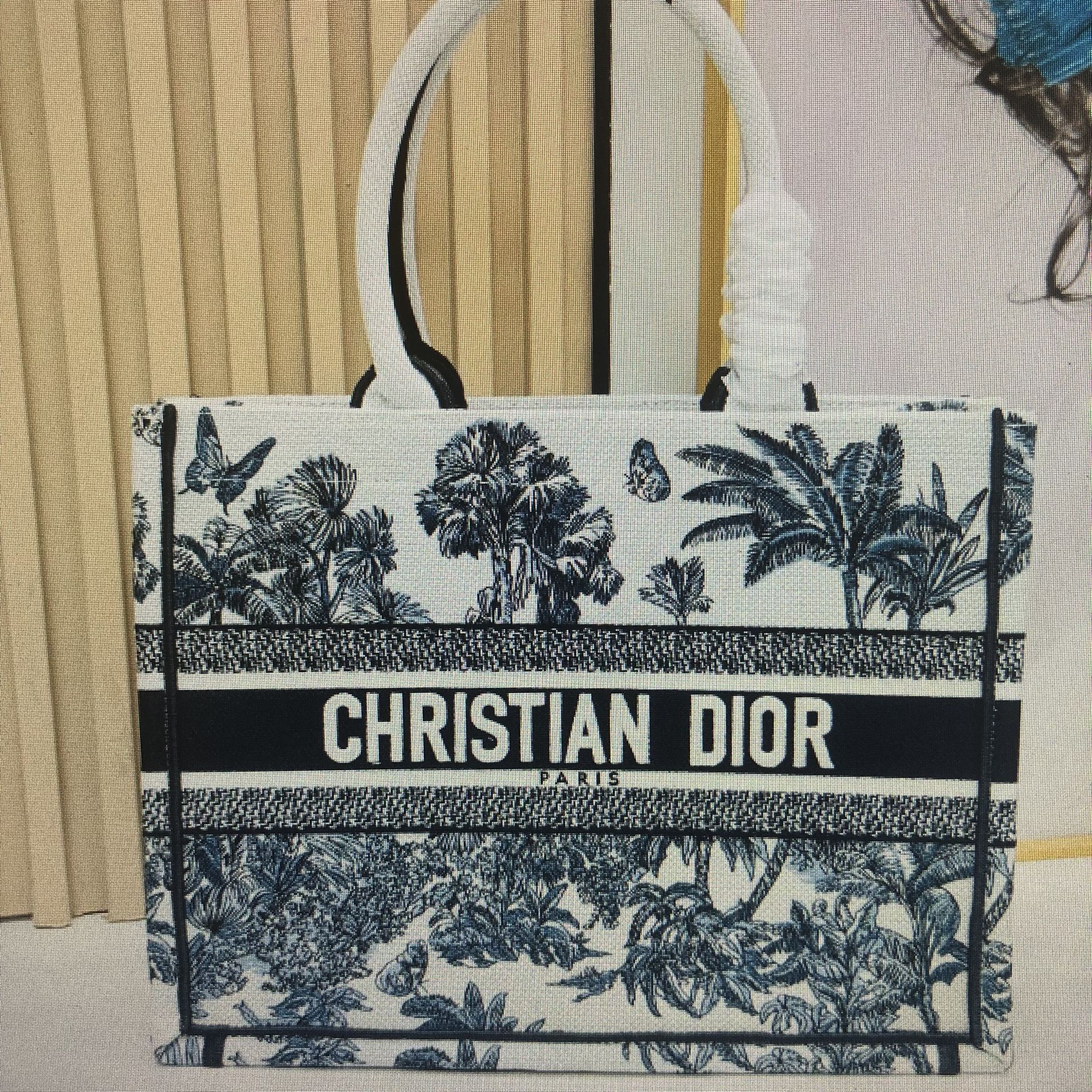 Dior shopping bag