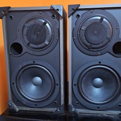 Pioneer Speakers CS-V110