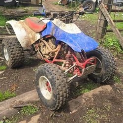 1987 trx250x