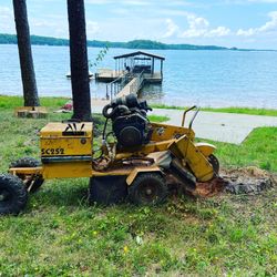 Stump Grinding 