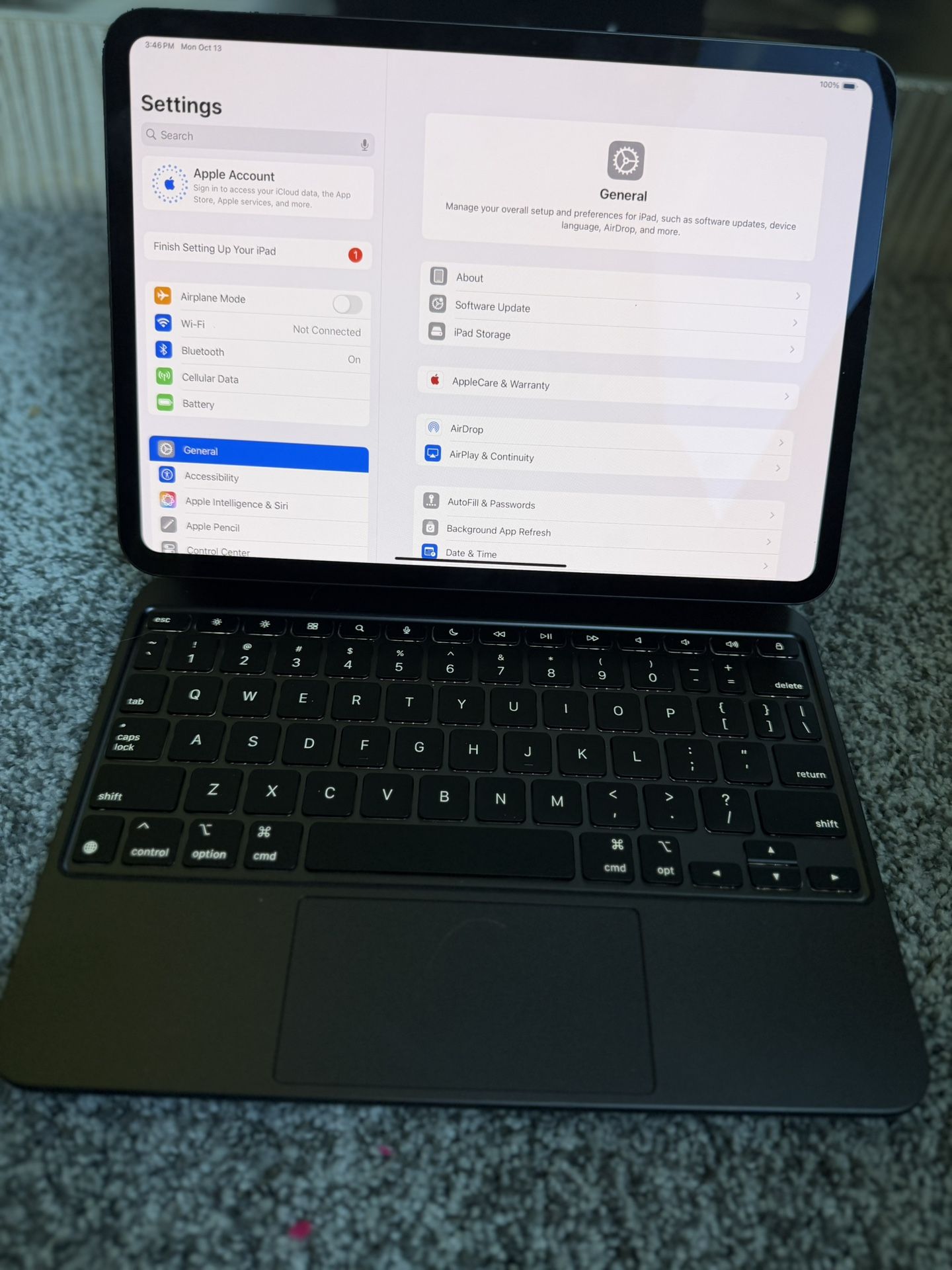 Unlocked iPad Pro 11inch M4 256gb + Cellular