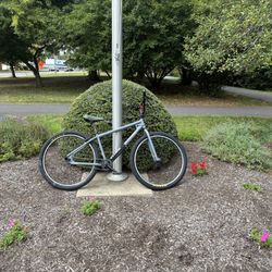 Thruster Saturn 29 Inch Read Description 