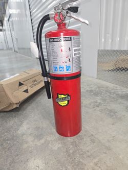 Buckeye Fire Equipment Fire Extinguisher
