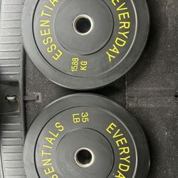 Two 35 Pound Olympic Weights
