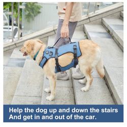 Coodeo Dog Lift Harness, Support & Recovery Sling, Pet Dogs Walk (M)