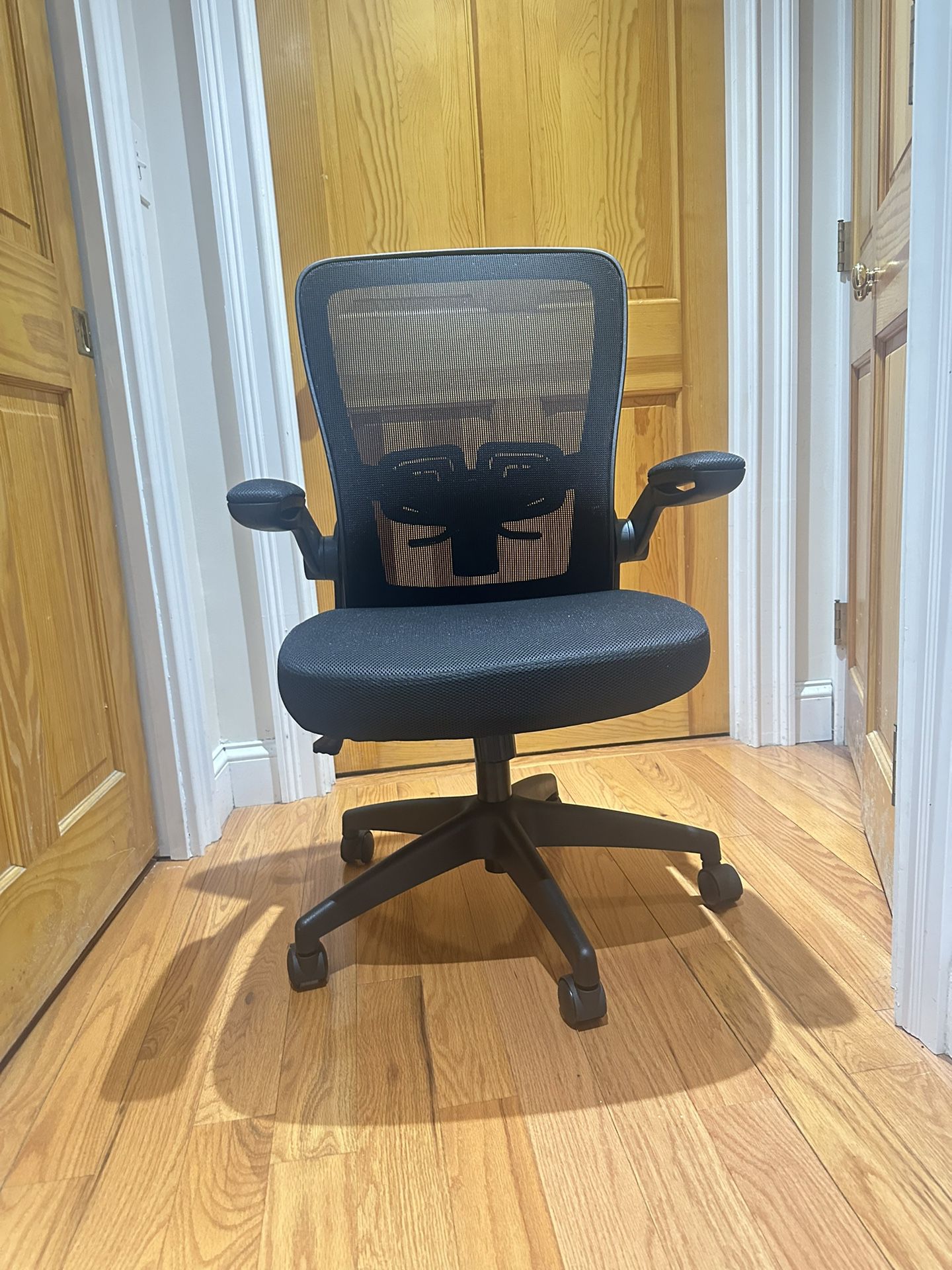 Office Ergonomic chair