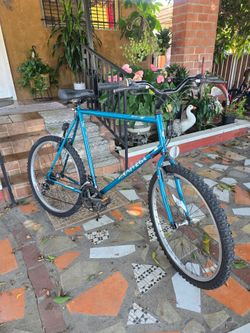 Univega Rover Mountain Bike 21-Speed