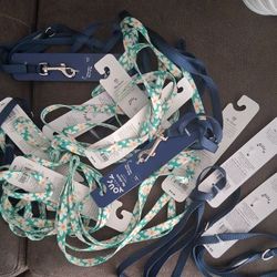Dog Leashes 