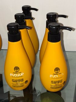 1 Evoque Hair Color Purification shampoo and 1 conditioner
