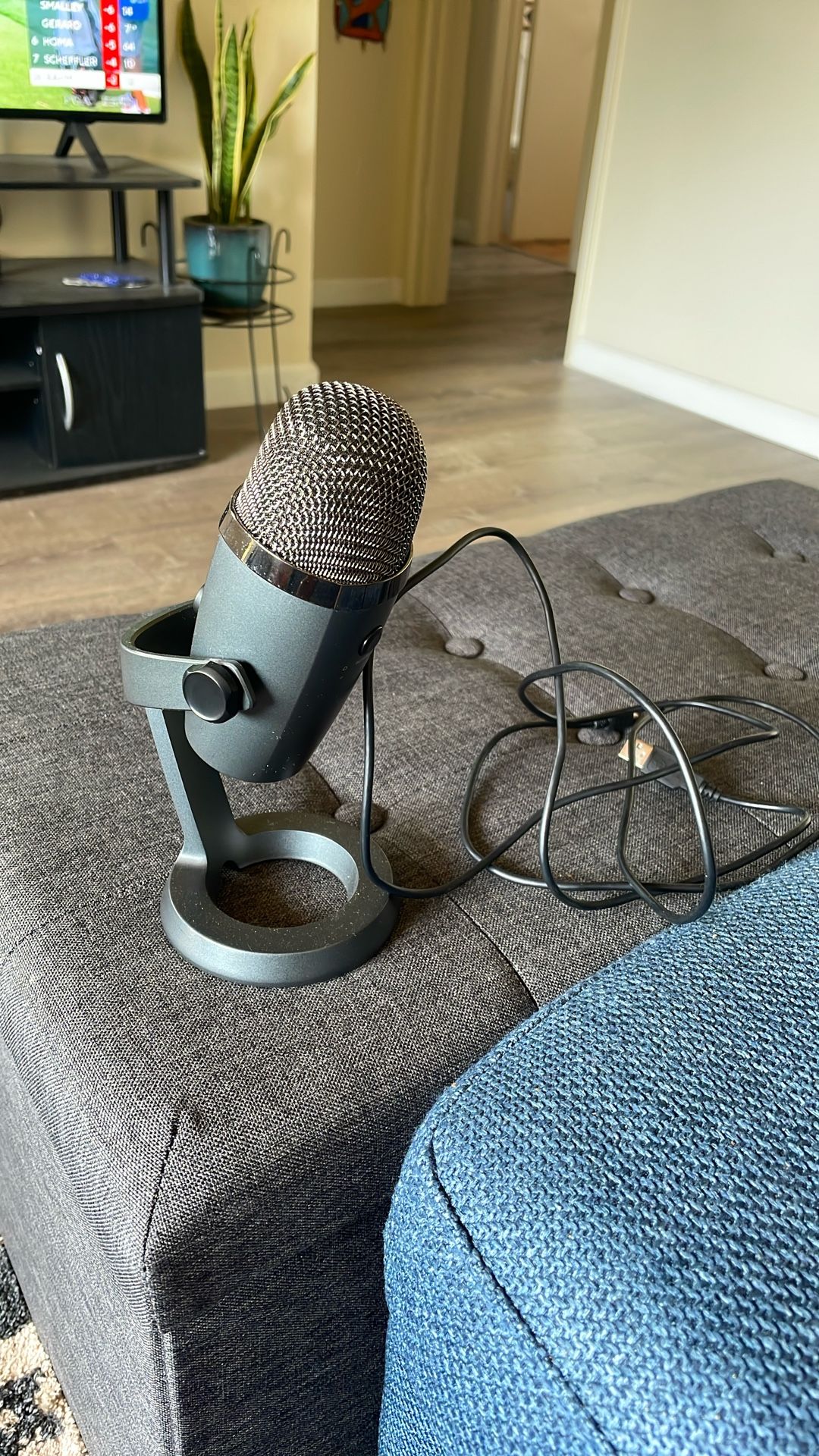 “Blue” Microphone