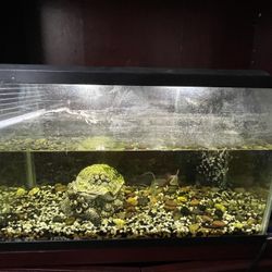 rehoming fish tank and selling shelving unit 