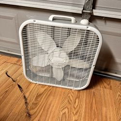 Fan 