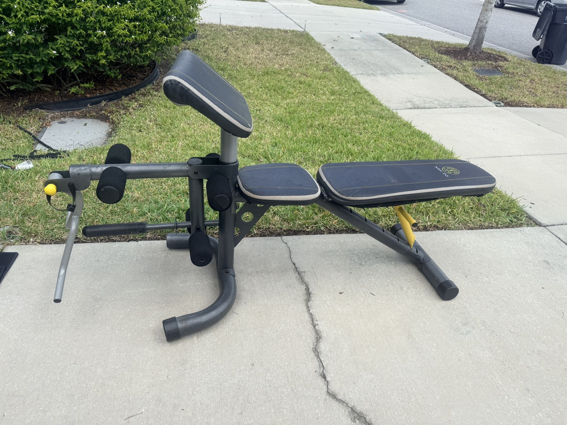 Gold's Gym Workout Bench with Bar and Weights