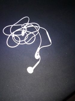 Apple Earbuds. Lightning Cable Accessory Headphones