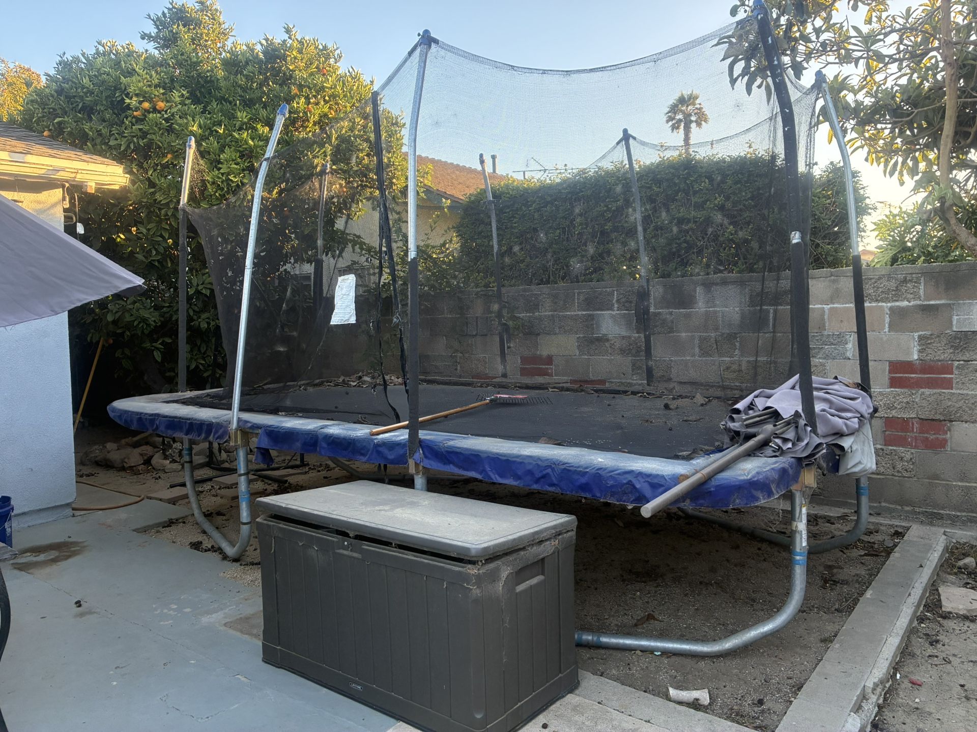 Trampoline