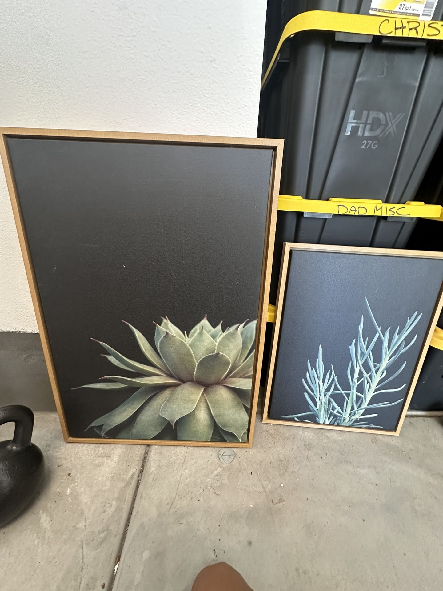 Large Succulent Picture Decor
