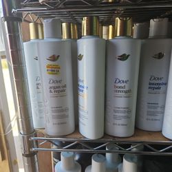 Dove Shampoo 12oz