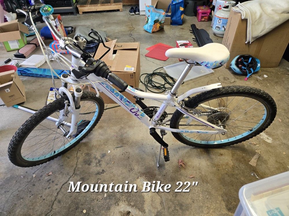 22" Mountain Bike