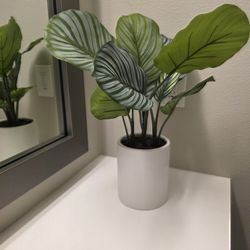 Faux Calathea / Patterned Leaf Plant – Modern White Pot