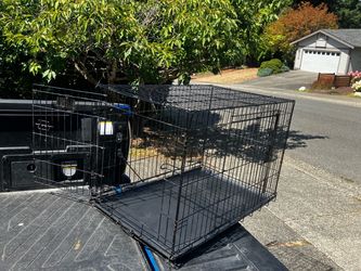 Large Medium Dog Kennel Crate Collapsible in Good Condition 36” L by W 22” H “24