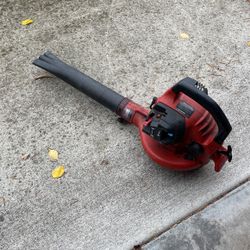 Leaf blower